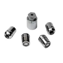 Conjunto de Porcas Antifurto 4 Rodas